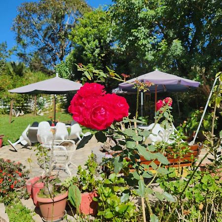 Kitnet No Sul De Minas Villa Soledade de Minas ภายนอก รูปภาพ
